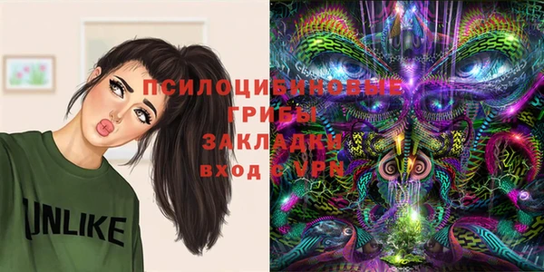дживик Гусь-Хрустальный