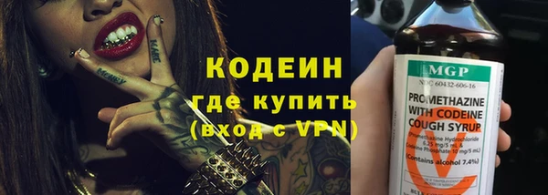 дживик Гусь-Хрустальный