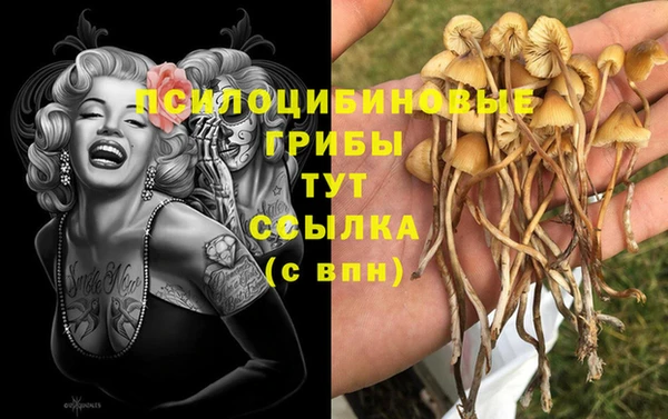 дживик Гусь-Хрустальный