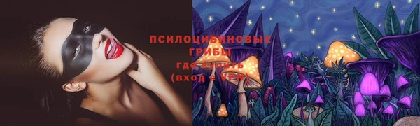 ALPHA-PVP Гусев
