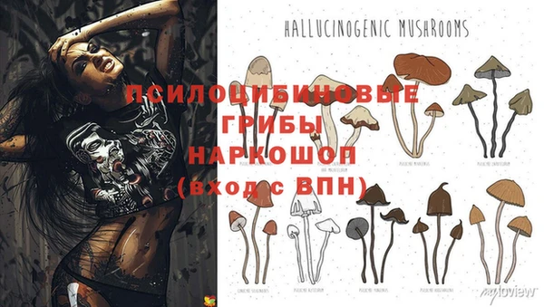 дживик Гусь-Хрустальный