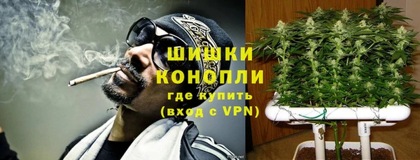 дживик Гусь-Хрустальный